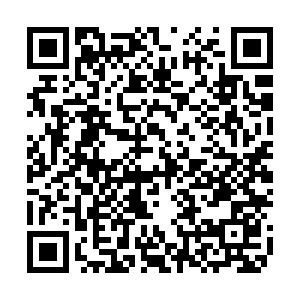 基于贪心策略的自适应OFDM无源雷达强杂波抑制